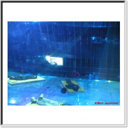 expo02_28.JPG