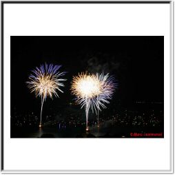 IMG_2901.jpg