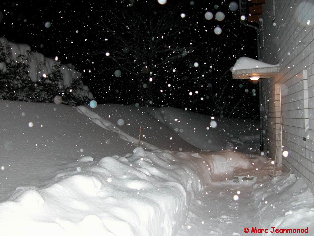 Dscn0939.jpg