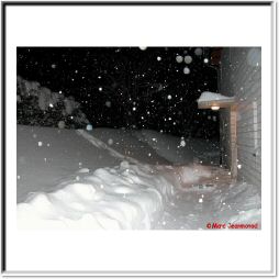 Dscn0939.jpg