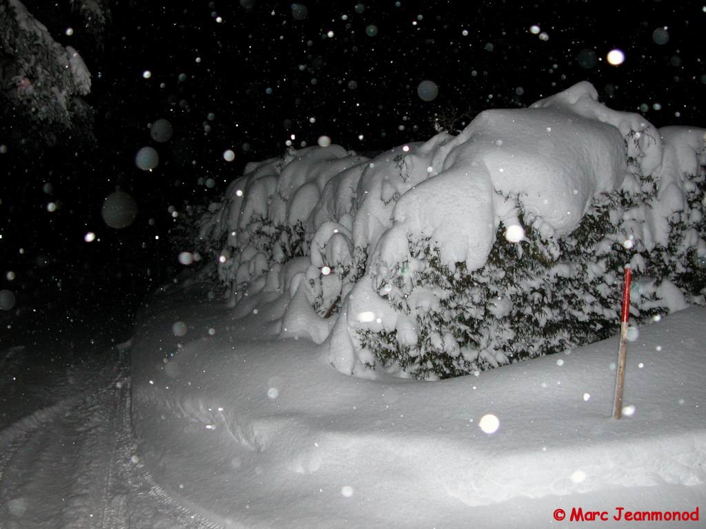 Dscn0945.jpg