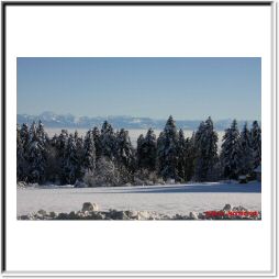 IMG_0238.jpg