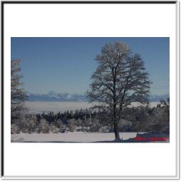 IMG_0240.jpg