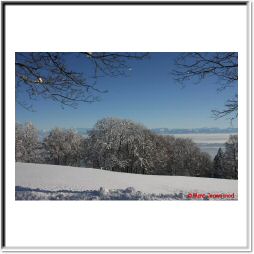 IMG_0244.jpg
