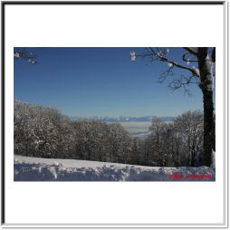 IMG_0246.jpg