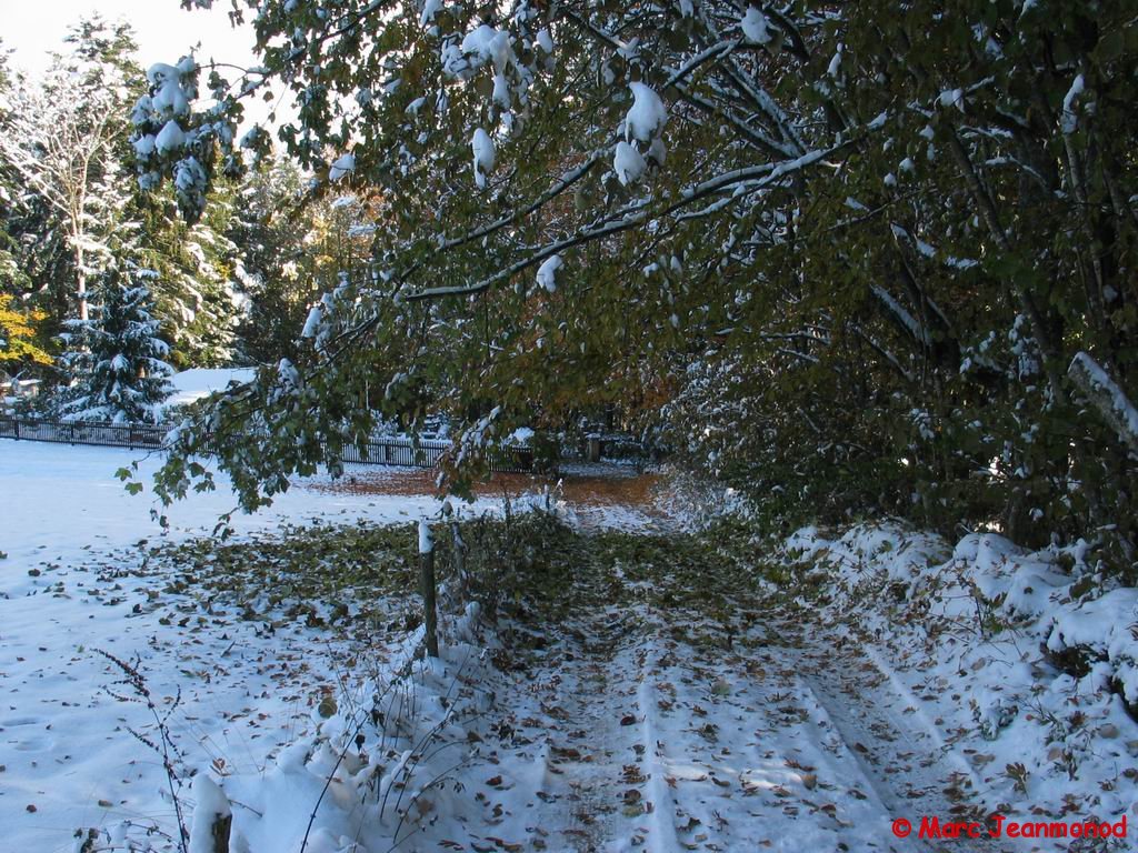 IMG_1264.jpg