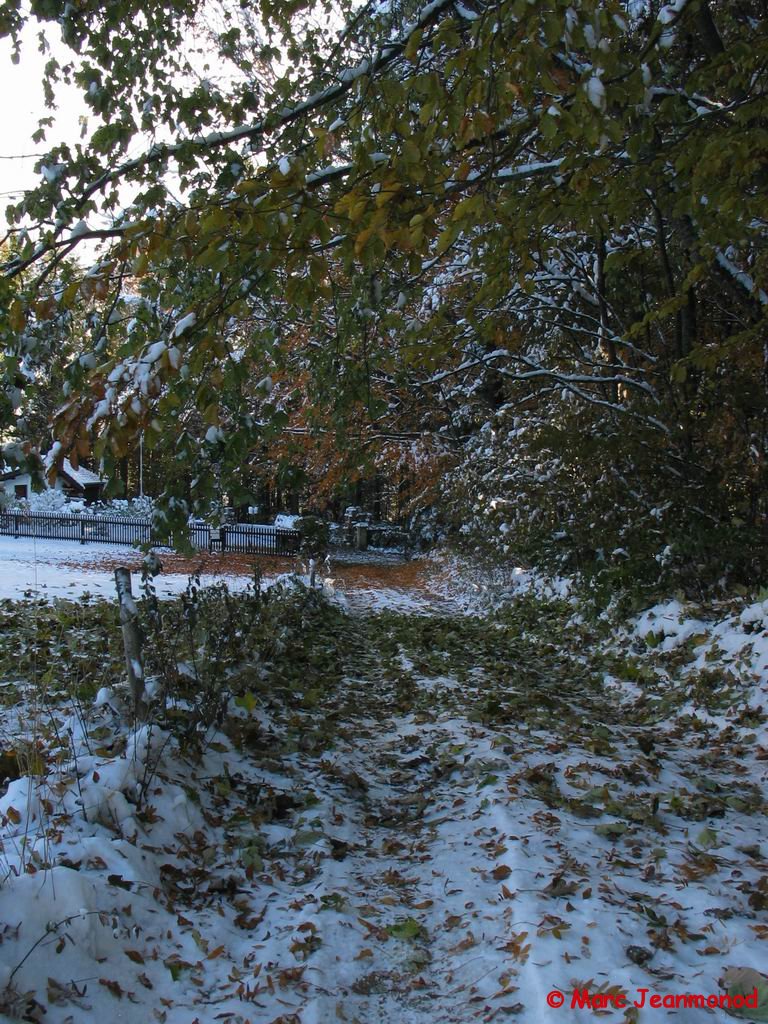 IMG_1265.jpg