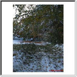 IMG_1265.jpg