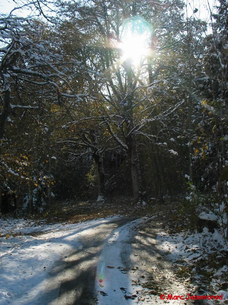 IMG_1275.jpg